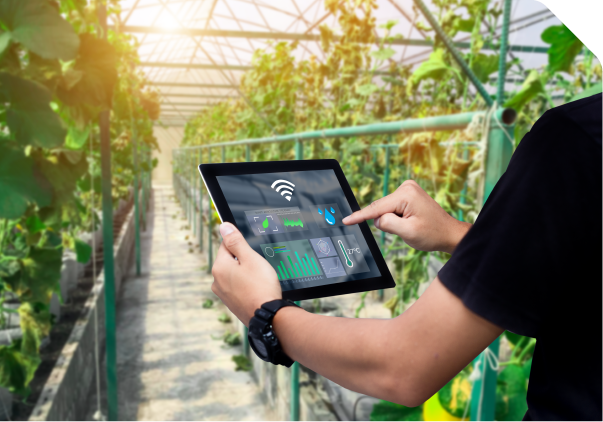 iot-based smart agriculture