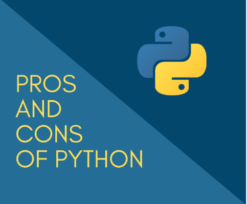 python web development pros cons