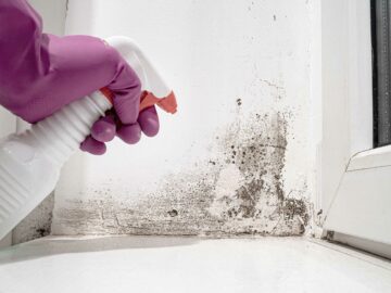 green ways for mold removal
