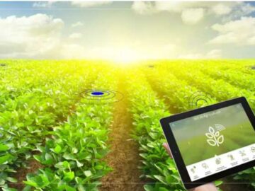 blockchain agriculture