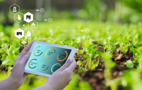 iot tech in agriculture
