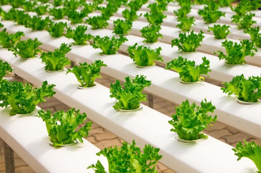 smart hydroponic equipment